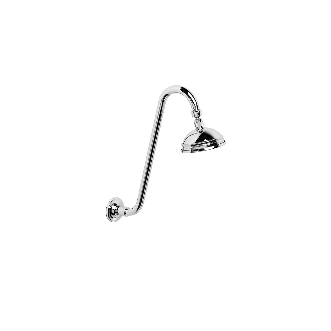 Neu England Shower Rose & Arm