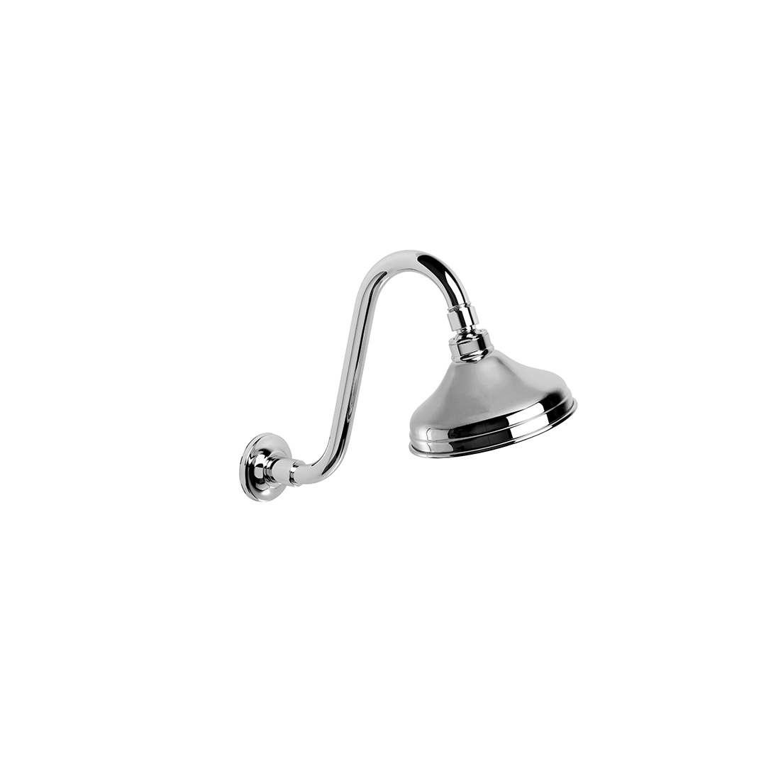 Winslow Shower Rose & Arm