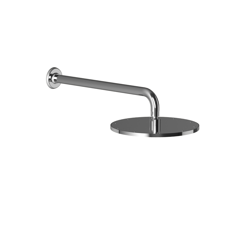 Manhattan Shower Rose & Arm